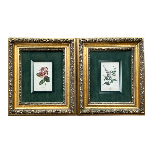 Vintage Framed Botanical Floral Prints - A Pair For Sale
