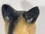 Drawing/Sketching Materials Antique Folk Art Chalkware Spotted Tabby Cat Figurine For Sale - Image 7 of 10