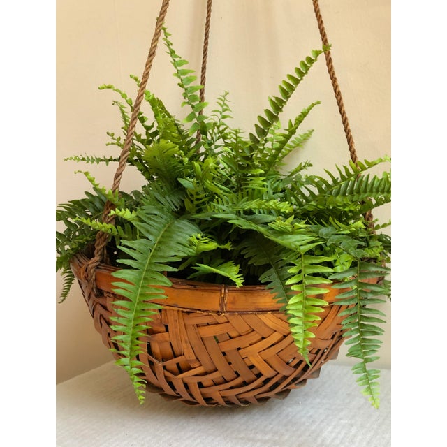 1970s Rattan Hanging Basket Planter For Sale In Baltimore - Image 6 of 13