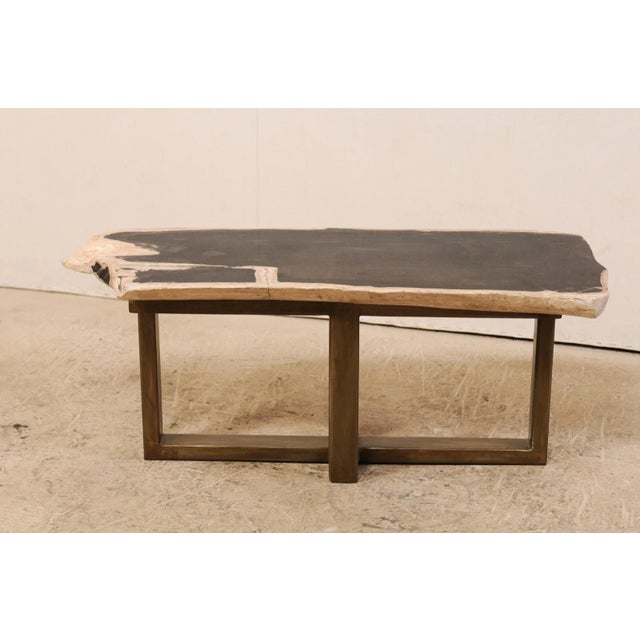 Organic Modern Petrified Wood Coffee Table or Bench For Sale - Image 4 of 12