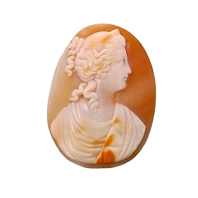 Group of 3 High Relief Cameos Carved From Bullmouth Shell For Sale - Image 4 of 5