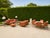 Contemporary Jerome Outdoor Sofa in Reed Brass Finish by Michael Taylor For Sale - Image 3 of 11