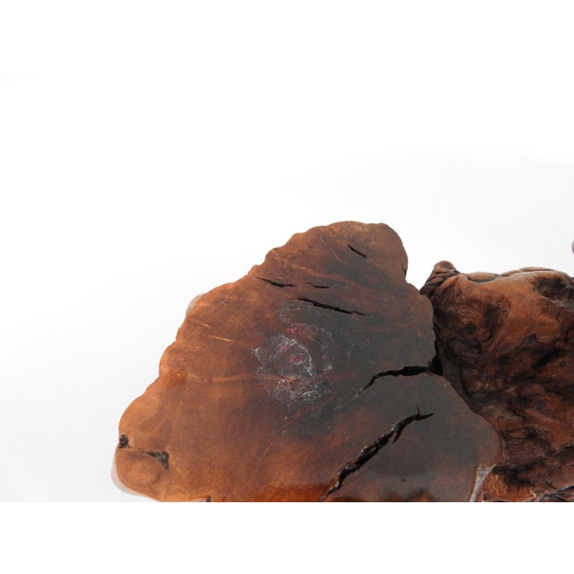 Mid-Century Organic Burl Wood Pedestal Stand & Fine Etched Pyrography Gourds - Set of 3 For Sale - Image 13 of 18