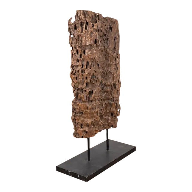Wood Sculpture Crafted From Organic Molave Root, Philippines For Sale