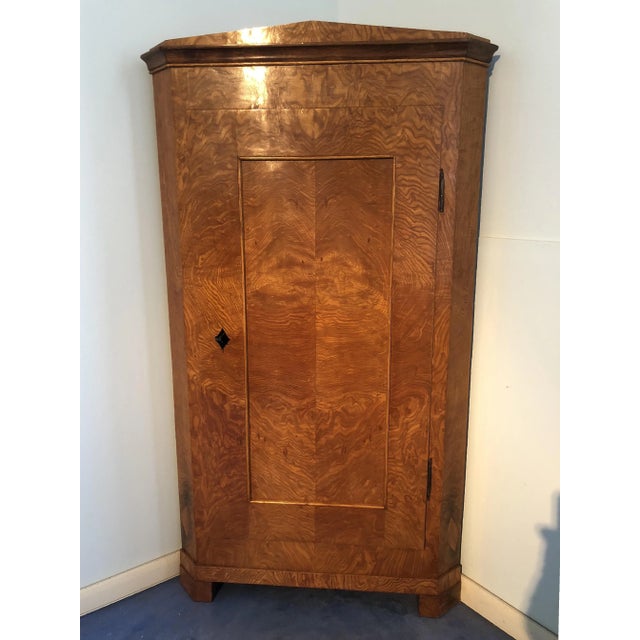 Biedermeier Elm Corner Cupboard, 1830s For Sale - Image 11 of 11