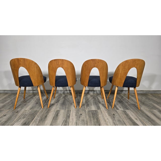 Set of Dining Chairs by Antonin Suman, 1960s For Sale - Image 3 of 12