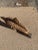 Coastal Vintage Marlin Rope Sculpture For Sale - Image 3 of 7