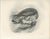 Antique Merlin Falcon with Prey Print by Lilian M. Medland, 1908 For Sale - Image 10 of 10