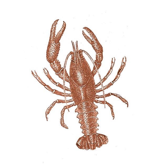 Red Lobster on light blue linen pillow 20" x 20" knife edge finish hidden zipper in back feather down fill Lobsters...