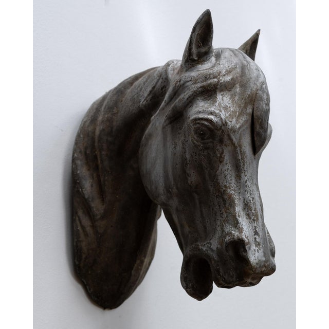Antique Zinc Horse Head, 1900 For Sale - Image 5 of 7