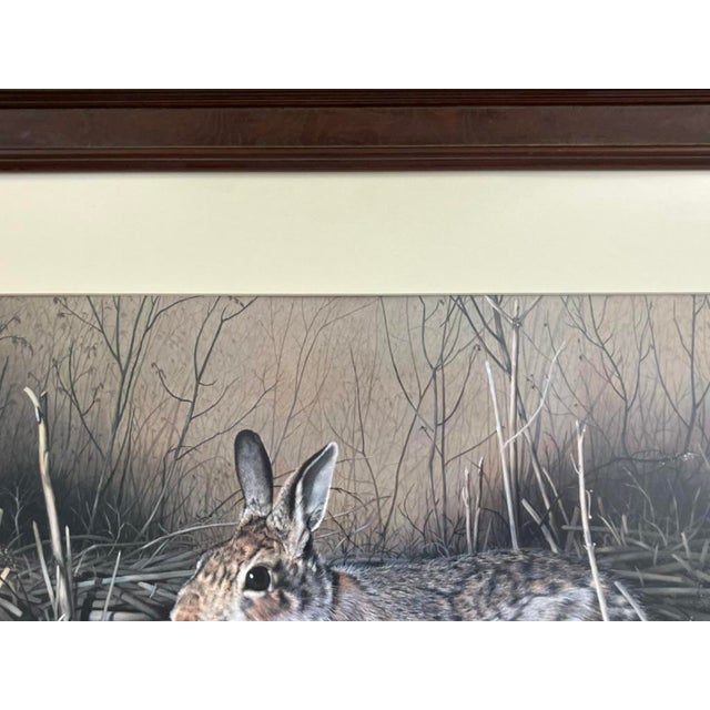 Charles Fracé “My Friend – Eastern Cottontail” Limited Edition Wildlife Print For Sale - Image 4 of 14