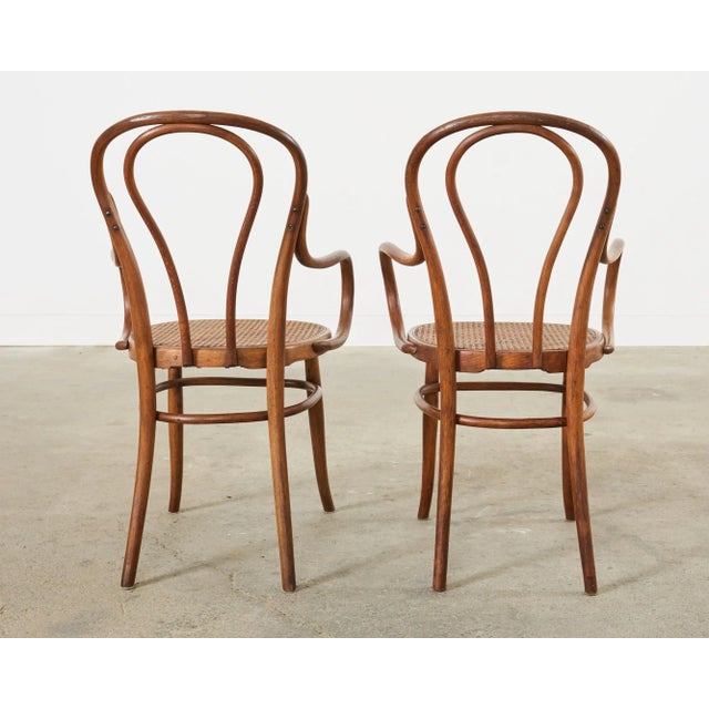 Set of Ten 19th Century J and J Kohn Bentwood Cane Armchairs For Sale - Image 11 of 12
