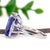 2020s Aaa 11.9Ct Tanzanite Ring With Natural Diamonds Accent: Solid 14k Gold, 16x12mm, Size 6.75 For Sale - Image 5 of 7