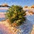 This uplifting impressionist oil painting by Gary Edwards (Gary Evans) brings the warmth and serenity of a South Carolina...