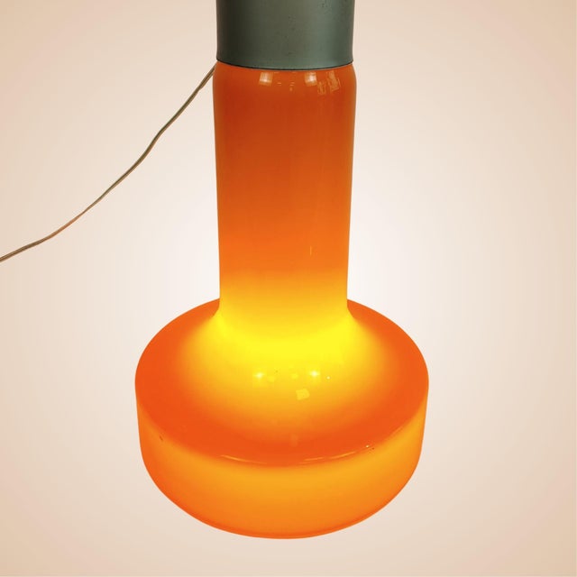 Birillo Floor Lamp from Mazzega, Italy, 1960s For Sale - Image 11 of 16