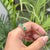 Vintage-Style 2.18ct Oval Emerald & Diamond Double Band Ring in 14k Gold Size 5.5 For Sale - Image 9 of 18