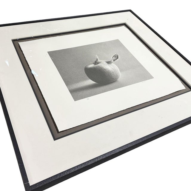 Noted artist Martha Alf, known for still life and pencil drawings of apples and pears, produced this lithograph, "Apples,"...