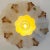 Flower Shell White Sand Ceramic Wall Light from Hustadt Keramik, Germany, 1970s For Sale - Image 12 of 13