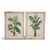 Palm Trees, Oil on Canvases, 1890s-1910s, Set of 2 For Sale - Image 7 of 7