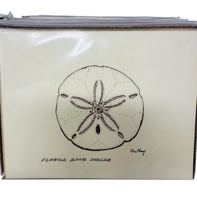 Off-white Huge Collection 440 Vintage Bill Futhey Fine Art Notecards | Florida Coastal & Nature Series | Reseller Wholesale Lot | Shells, Birds, Boats & Golf For Sale - Image 8 of 16
