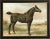 Irish Horse by Eerelman Framed in Italian Wood Vener Moulding For Sale