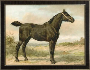 Irish Horse by Eerelman Framed in Italian Wood Vener Moulding