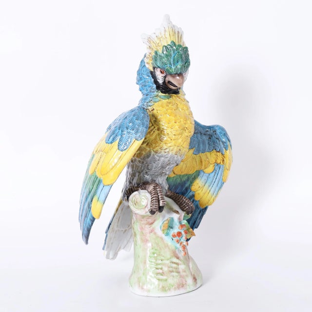 Mid 20th Century German Porcelain Parrot For Sale - Image 5 of 9