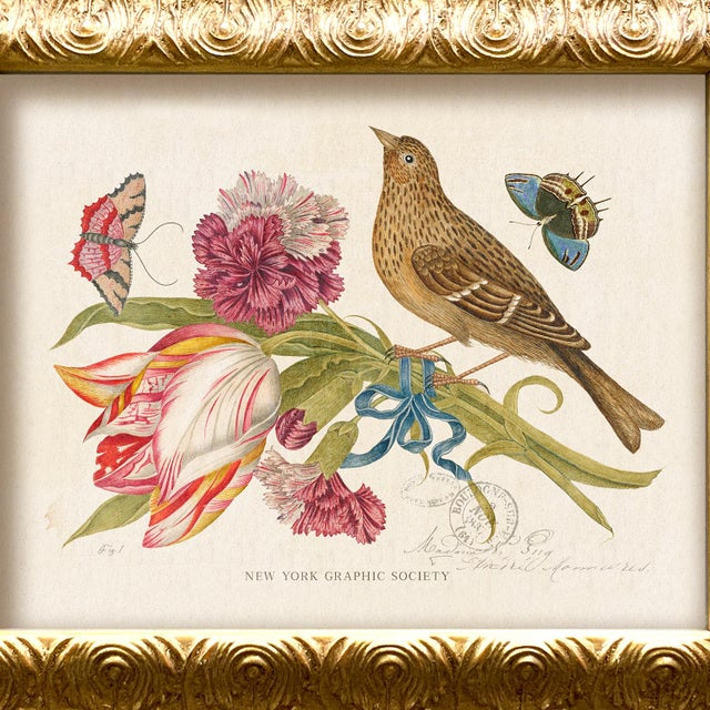Illustration Reproduction Vintage Birds and Butterflies Art Print (Bird#3), Framed For Sale - Image 3 of 5