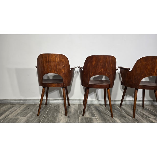 1950s Dining Chairs by Oswald Haerdtl for Ton, 1950s, Set of 4 For Sale - Image 5 of 18