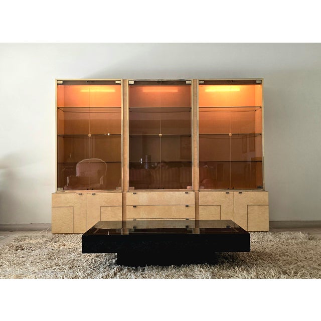 Jean Claude Mahey Vintage Display Cases by Jean-Claude Mahey for Roche Bobois, 1970s For Sale - Image 4 of 18