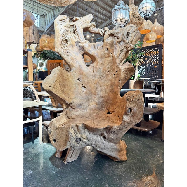Vintage Giant Teak Root Throne Chair For Sale - Image 11 of 11