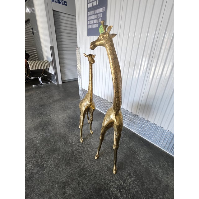 1970s 1970's Life Size Brass Baby Giraffes - a Pair For Sale - Image 5 of 12