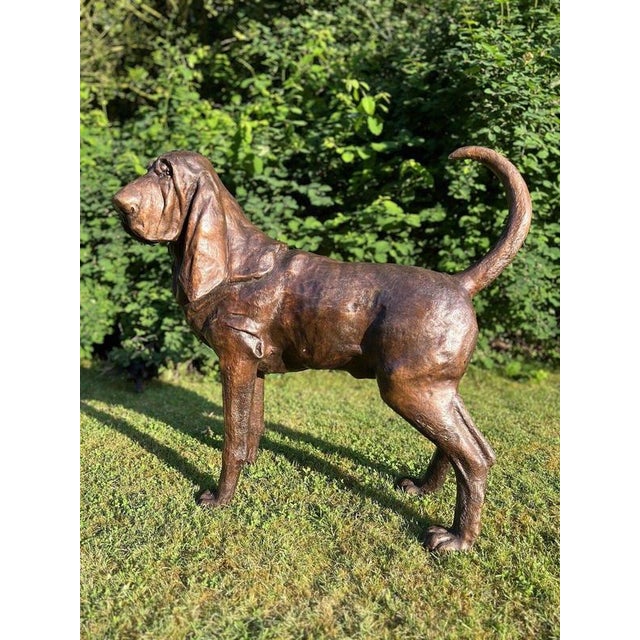 Gold Life-Size Bronze Bloodhound Garden Statue from Christian Maas For Sale - Image 8 of 18