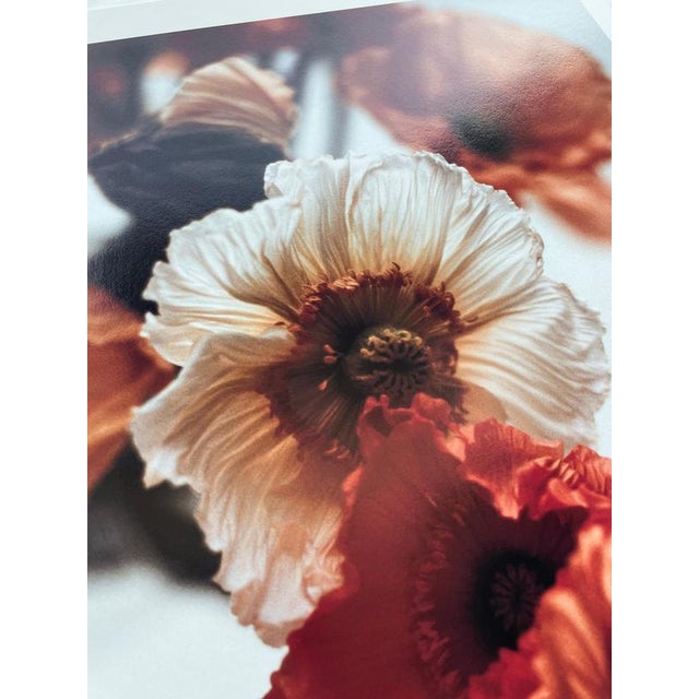 Contemporary Ugne Pouwell, Orange Poppies No.4, 2024, Photography For Sale - Image 3 of 8