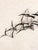 This striking vintage iron flock of birds wall sculpture is a bold and dramatic large scale wall art find. The sweeping...