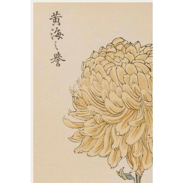 A refined example of late nineteenth-century Japanese botanical illustration, this vintage art print reproduction features...