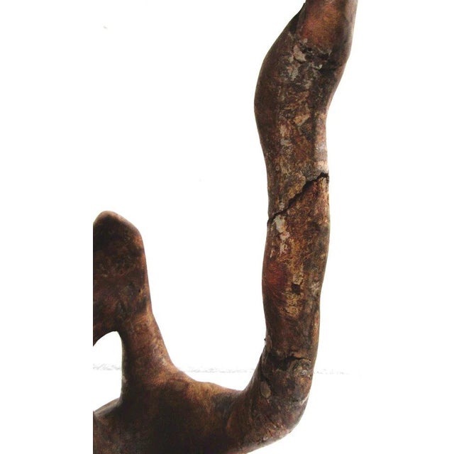1950s Mid-Century Modern Organic Biomorphic Figurative Burl Wood Carving Sculpture For Sale - Image 12 of 18