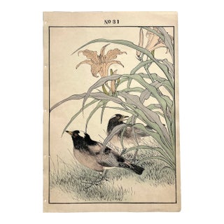 Imao Keinen, "Orange Daylily and Thrush," 1891 First-Edition Antique Japanese Woodblock Print For Sale