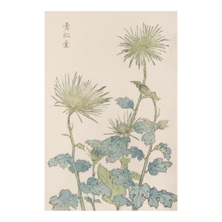 Two Wildflowers by Hasegawa, Vintage Japanese Botanical Art Print, 16" X 24" For Sale
