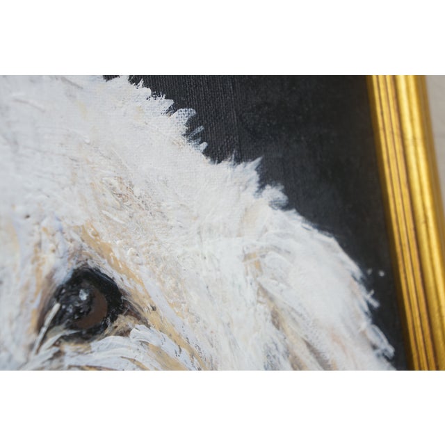 Vintage Maltese White Dog Portrait Oil Painting on Canvas For Sale - Image 6 of 10