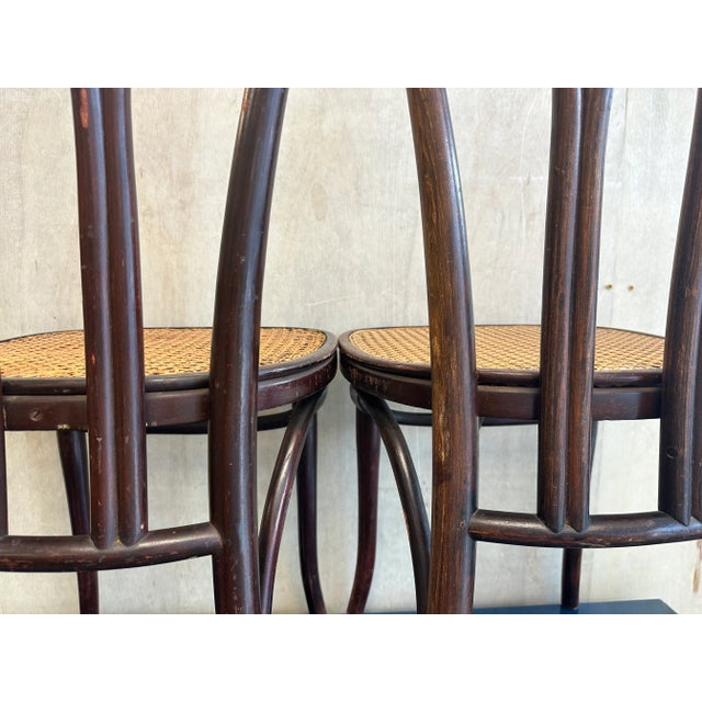 Wood Pair Pre-1920 Thonet Bentwood and Cane Dining Chairs With Loop Shaped Leg Braces For Sale - Image 7 of 12