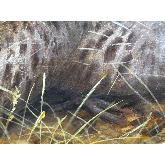 British Ornithology Watercolor of Grey Partridges in New Forest Moor in the Manner of Archibald Thorburn For Sale - Image 13 of 18