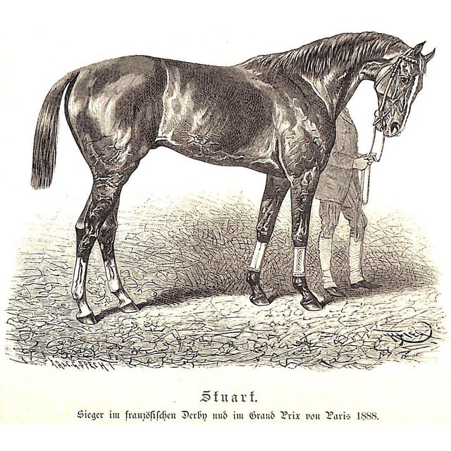 "Das Buch Vom Pferde: Volumes 1 & 2" 1890 Wrangel, Graf Cg For Sale In New York - Image 6 of 10