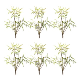 Mini Fern Foliage Bush with Sprout Accent (Set of 6) For Sale