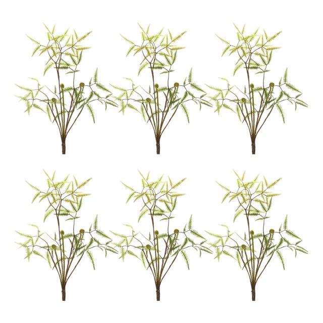 Mini Fern Foliage Bush with Sprout Accent (Set of 6) For Sale