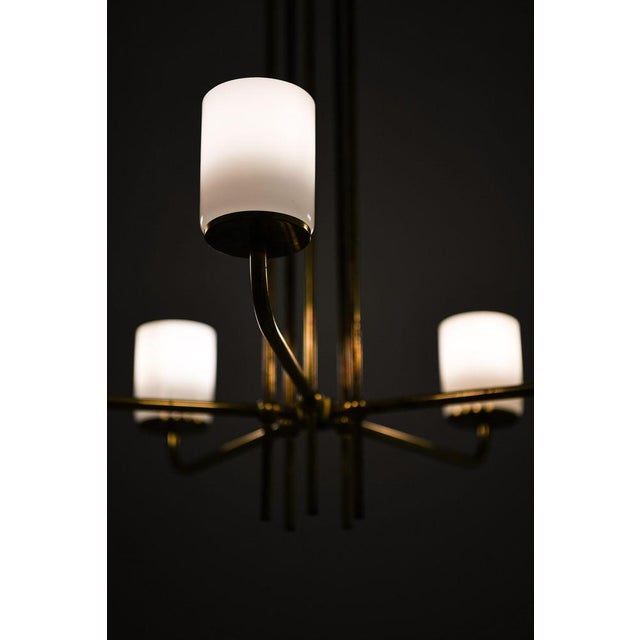 1950s Ceiling Lamp in Brass and Opaline Glass in the style of Paavo Tynell, 1950s For Sale - Image 5 of 8