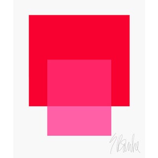 The Interaction of Red and Bright Pink Fine Art Print 20" X 24" by Liz Roache For Sale