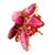 Early 21st Century Rubellite Tourmaline Red-Spinel 18k Yellow Gold Floral Brooch Pendant For Sale - Image 5 of 6
