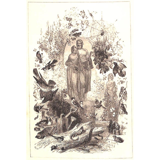 Mid 20th Century "A Tour Round My Garden" Wood, Rev. j.g. For Sale - Image 5 of 12