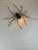 Metal Mid-Century Modern Spider Wall Lamp, 1960s For Sale - Image 7 of 18